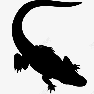 短吻鳄动物爬行动物图标图标