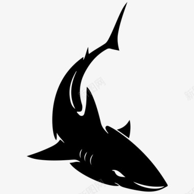 鲨鱼水游泳图标图标