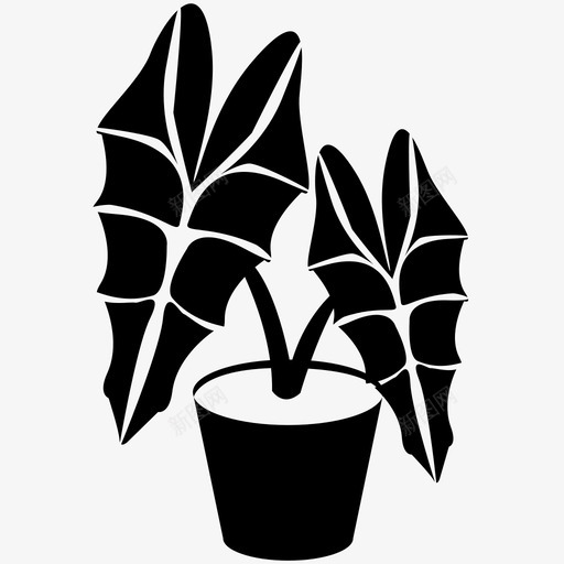 植物象耳绿色图标svg_新图网 https://ixintu.com 叶子 室内植物 植物 盆栽 绿色 象耳