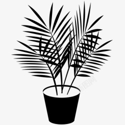 竹棕榈采购产品植物竹棕榈植物室内植物叶子图标高清图片