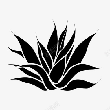 龙舌兰玛吉墨西哥植物图标图标