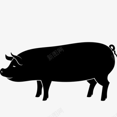 猪动物农场食物猪肉图标图标