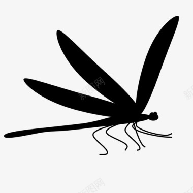 蜻蜓动物昆虫图标图标