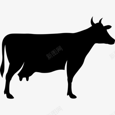 牛动物牛肉奶制品农场图标图标