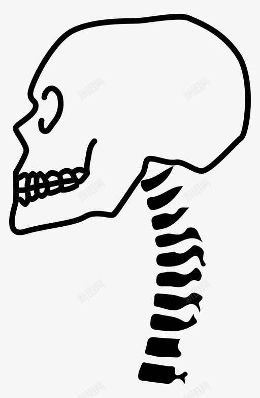 脊柱骨骼骨科图标svg_新图网 https://ixintu.com 头骨 脊柱 骨科 骨骼
