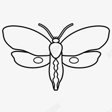 飞蛾动物蝴蝶图标图标