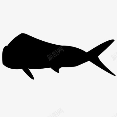 鱼食物海洋海洋动物海洋生物图标图标