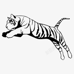 狩猎标志老虎野猫条纹图标高清图片