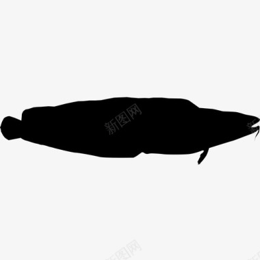 尖吻动物鱼图标图标