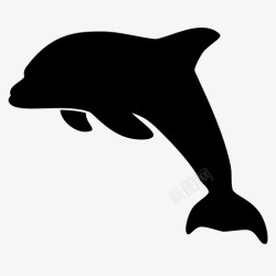 剪影背景海豚游泳剪影图标高清图片