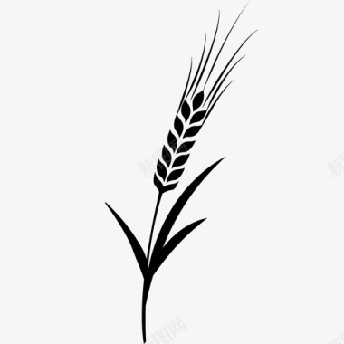 大麦农业农作物图标图标