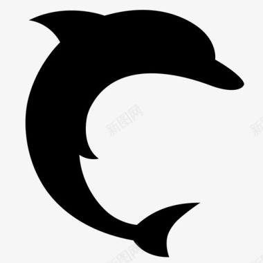 海豚游泳海洋哺乳动物图标图标