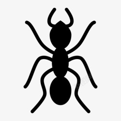 蚁群蚂蚁动物虫子图标高清图片