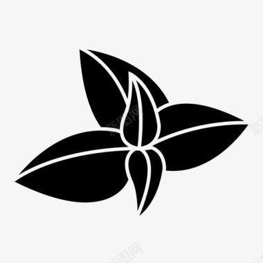 罗勒香草叶子图标图标