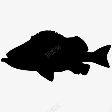 红鱼动物自然图标图标