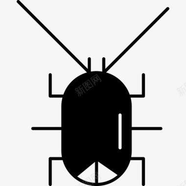 蟑螂动物动物丛林动物图标图标