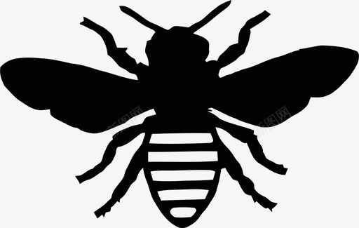 蜜蜂蜂群苍蝇蜂巢蜂蜜图标图标