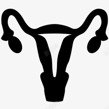 子宫解剖学婴儿生物学女性图标图标