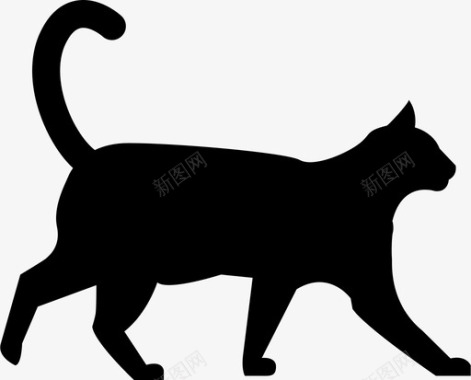 猫动物黑猫喵喵宠物图标图标