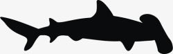 锤头鲨锤头鲨动物食肉动物图标高清图片