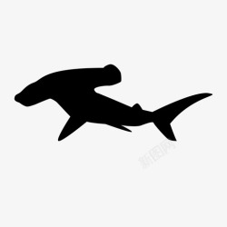 鱼的掠食者锤头鲨动物鱼图标高清图片