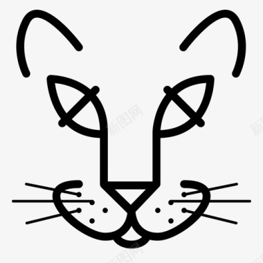 猫动物美洲狮图标图标