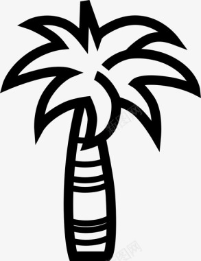 棕榈树自然植物图标图标