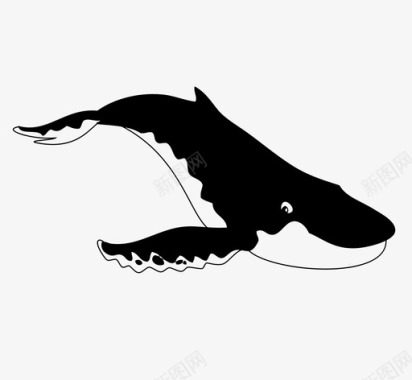 鲸鱼海洋哺乳动物图标图标