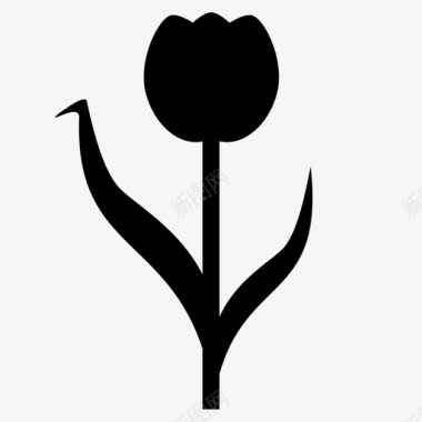 郁金香球茎荷兰图标图标