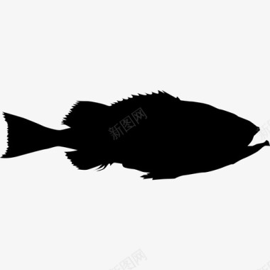 鲈鱼动物鱼图标图标
