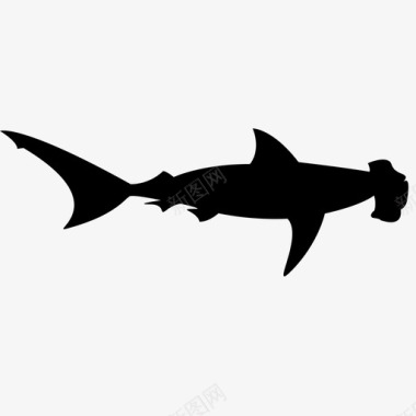 锤头鲨鱼食物海洋捕食者图标图标