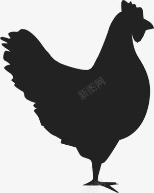 鸡动物鸟蛋农场图标图标