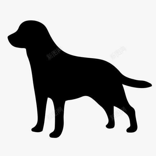拉布拉多猎犬动物犬类图标svg_新图网 https://ixintu.com 动物 宠物 拉布拉多猎犬 犬类 狗