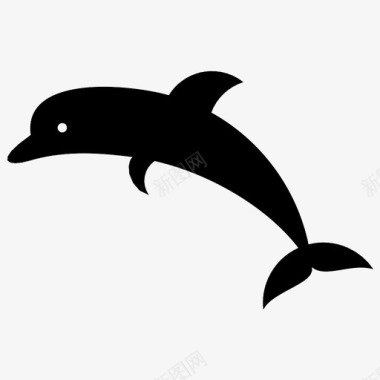 海豚动物哺乳动物海洋海洋动物图标图标