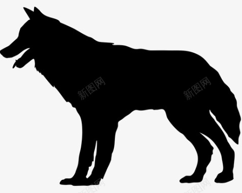 狼动物狗哺乳动物捕食者图标图标