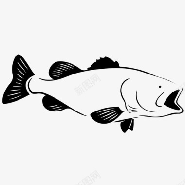 鱼水下鳟鱼图标图标