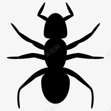 蚂蚁虫子蚁群昆虫害虫图标图标