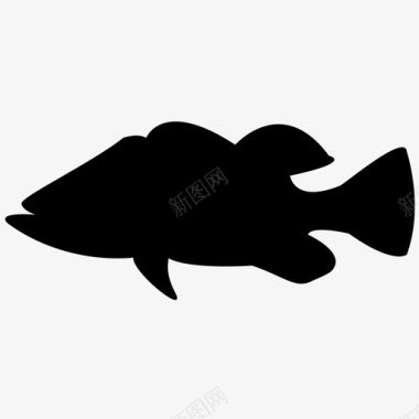 孔雀鲈鱼鱼海洋海洋动物海洋生物图标图标