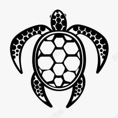 海龟野生动物水图标图标