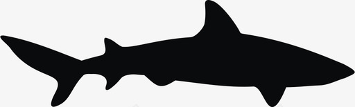 鲨鱼动物食肉动物图标图标