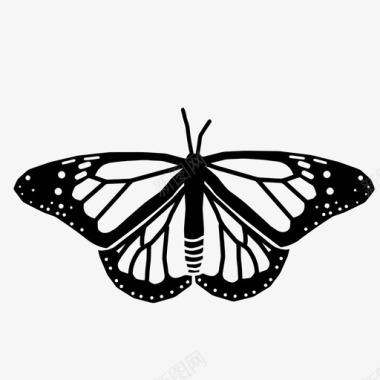 蝴蝶毛虫茧飞行昆虫图标图标
