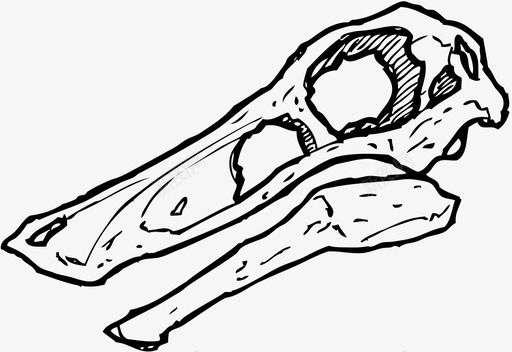 古恐龙头骨恐龙化石图标图标