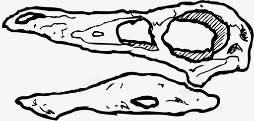 恐龙头骨三角龙恐龙骨图标svg_新图网 https://ixintu.com 三角龙 动物头骨 古生物学 古生物学家 恐龙化石 恐龙头骨 恐龙恐龙恐龙 恐龙骨 死恐龙