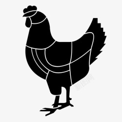 食用鸡采购产品鸡肉公鸡家禽图标高清图片