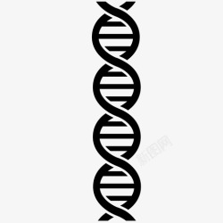 遗传研究dna科学螺旋图标高清图片