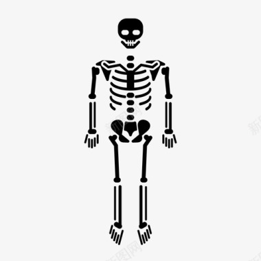 骨骼人体骨骼人图标图标