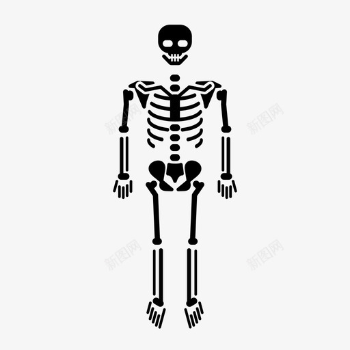 骨骼人体骨骼人图标svg_新图网 https://ixintu.com 人 人体解剖学 人体骨骼 头骨 撕裂 研究 科学 骨头人 骨骼