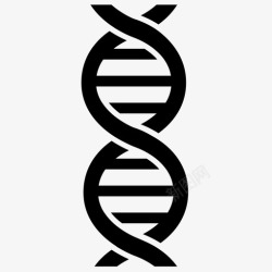 遗传研究dna科学螺旋图标高清图片