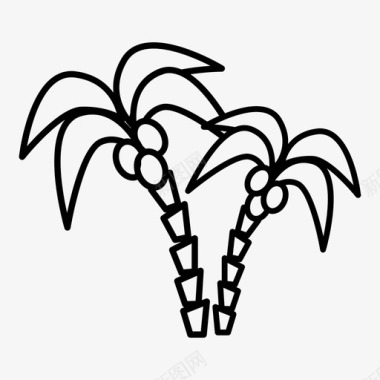棕榈树热带地区旅游图标图标