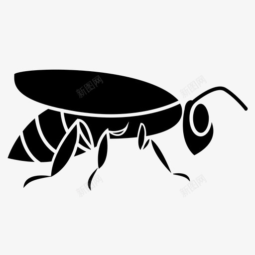 蜜蜂黄蜂蜂巢图标svg_新图网 https://ixintu.com 保护蜂 养蜂 幼虫 蜂巢 蜂蜜收获 蜜罐 蜜蜂 黄蜂